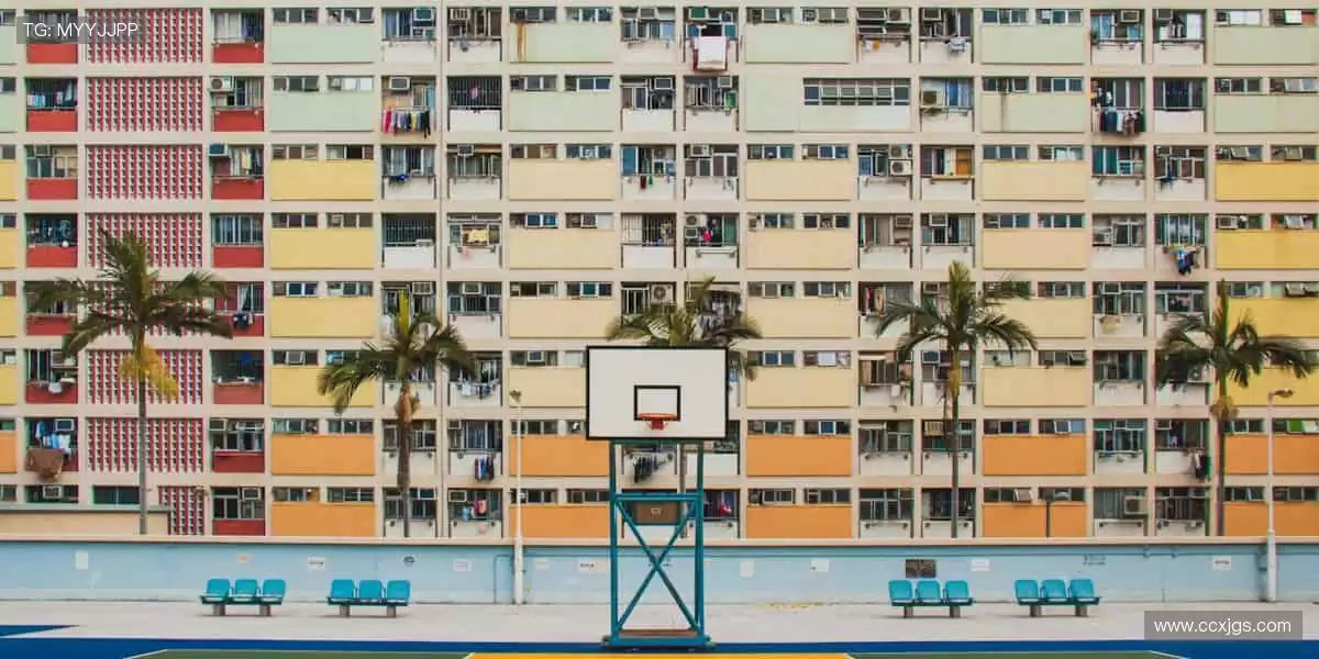 全球赛事一键触达！⚽